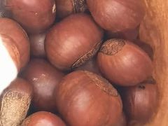 糖炒栗子-秋栗香(地安门店)