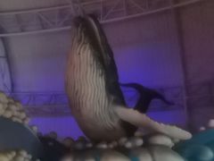 -烟台海昌鲸鲨海洋公园