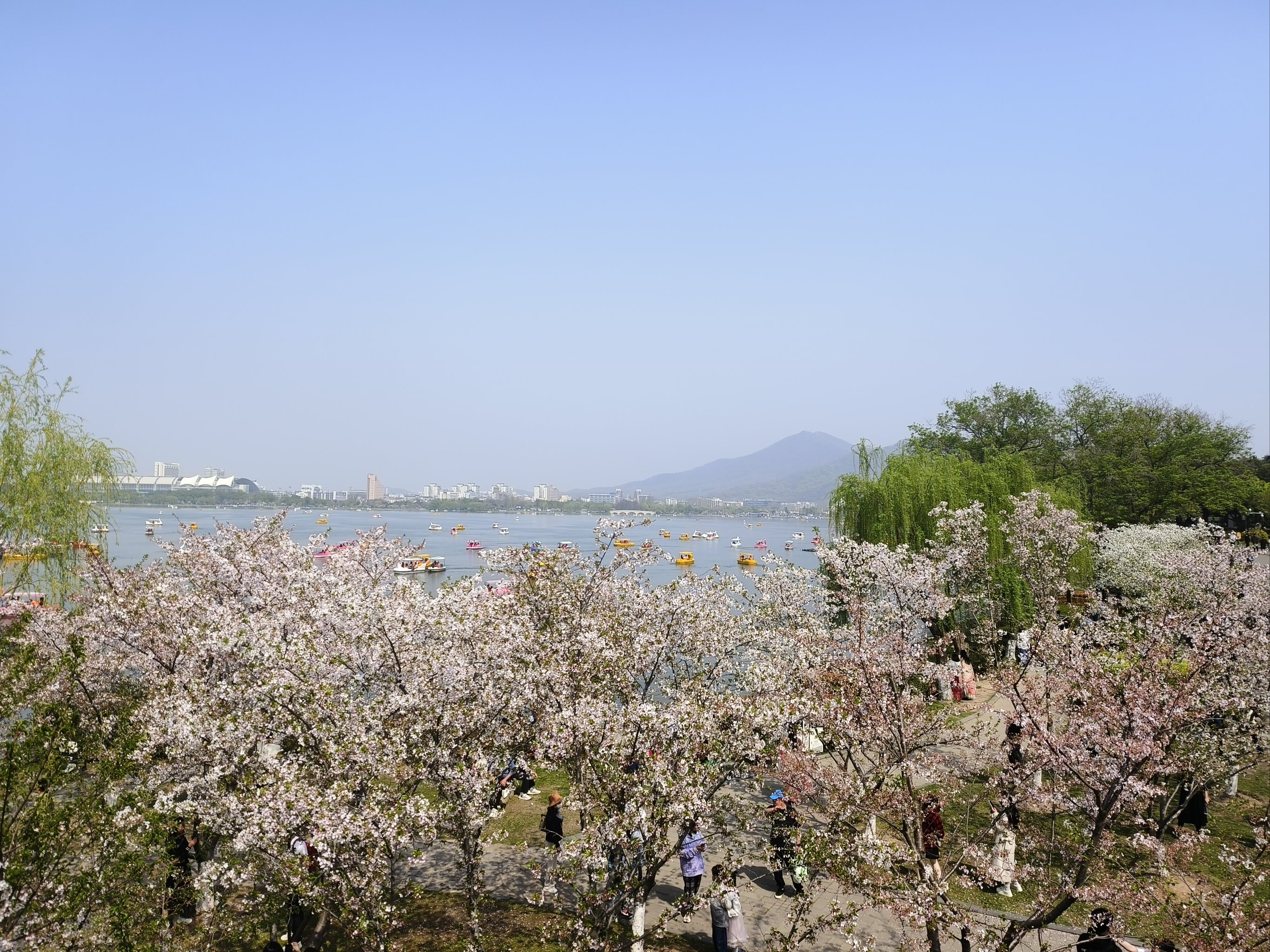 玄武湖公园游记图片