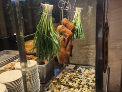 -松山湖凯悦酒店·Café自助餐厅·周末火舞秀表演
