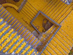 -遵化市禅林寺古银杏风景园