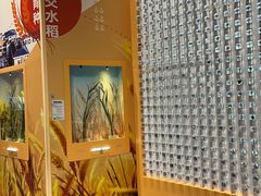 -山东省科技馆(新馆)