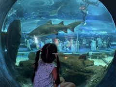 -海合安武汉极地海洋公园