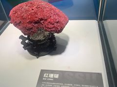 -重庆欢乐海底世界