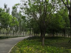 -东郊湿地公园