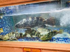 -顺峰(农展馆店)
