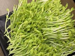 鲜活豌豆苗-湊湊火锅·茶憩(打浦桥日月光店)