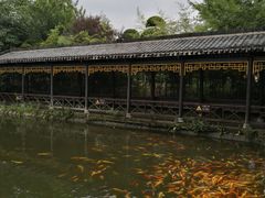 -武汉紫薇都市田园