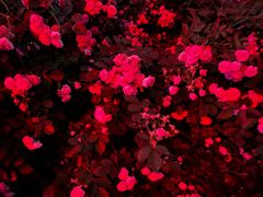 -山东大学(软件园校区)