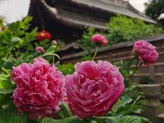 -龙华寺