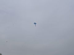 -洨河生态公园