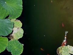 -国家植物园南园