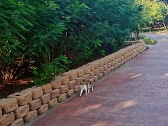 -大兴滨河森林公园