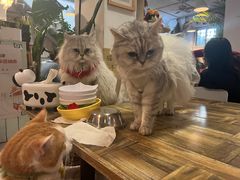 -小时光咖啡馆(北锣鼓巷店)