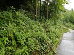 -天河潭旅游度假区