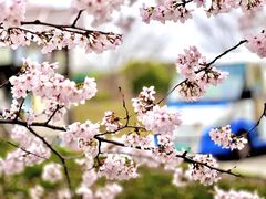 -上海辰山植物园