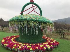 -香雪海