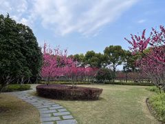 -上海市龙华烈士陵园