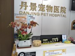 -丹景宠物医院·全科·老年病·牙科(武昌诊疗中心)
