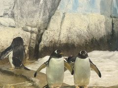 -成都浩海立方海洋公园