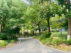 -苏州河梦清园环保主题公园