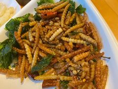 炸竹虫-东巴谷野生菌火锅餐厅