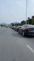 -蚂蚁婚车