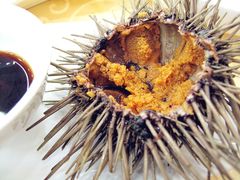 海胆-海岛渔村大酒店(云霄路店)