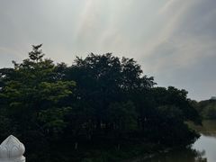 -海珠湖公园