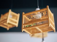 -瓷器(Market City)