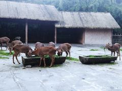 -金沙遗址博物馆