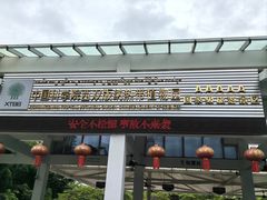-中国科学院西双版纳热带植物园
