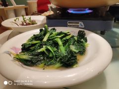 -松沪名灶·豆浆鱼头·新上海菜(飞航吾悦广场店)