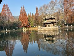 -习家池