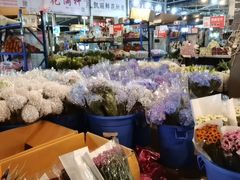 -三圣花乡旅游区