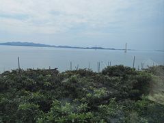-东山雕花楼
