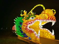 -空港花田景区