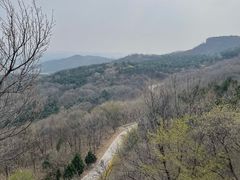 -北京西山国家森林公园
