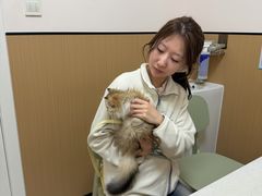 -瑞派康怡24h宠物医院·犬猫医疗中心·微创绝育(瑞景分院)