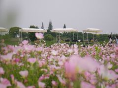 -良渚古城遗址公园
