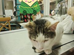 -金太粽(上海弄堂第一粽店)