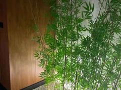 -新紫霞养生·影院足道·SPA(金山区店)