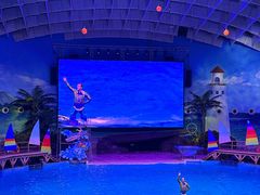 -海合安武汉极地海洋公园