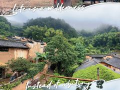 -杨家堂村