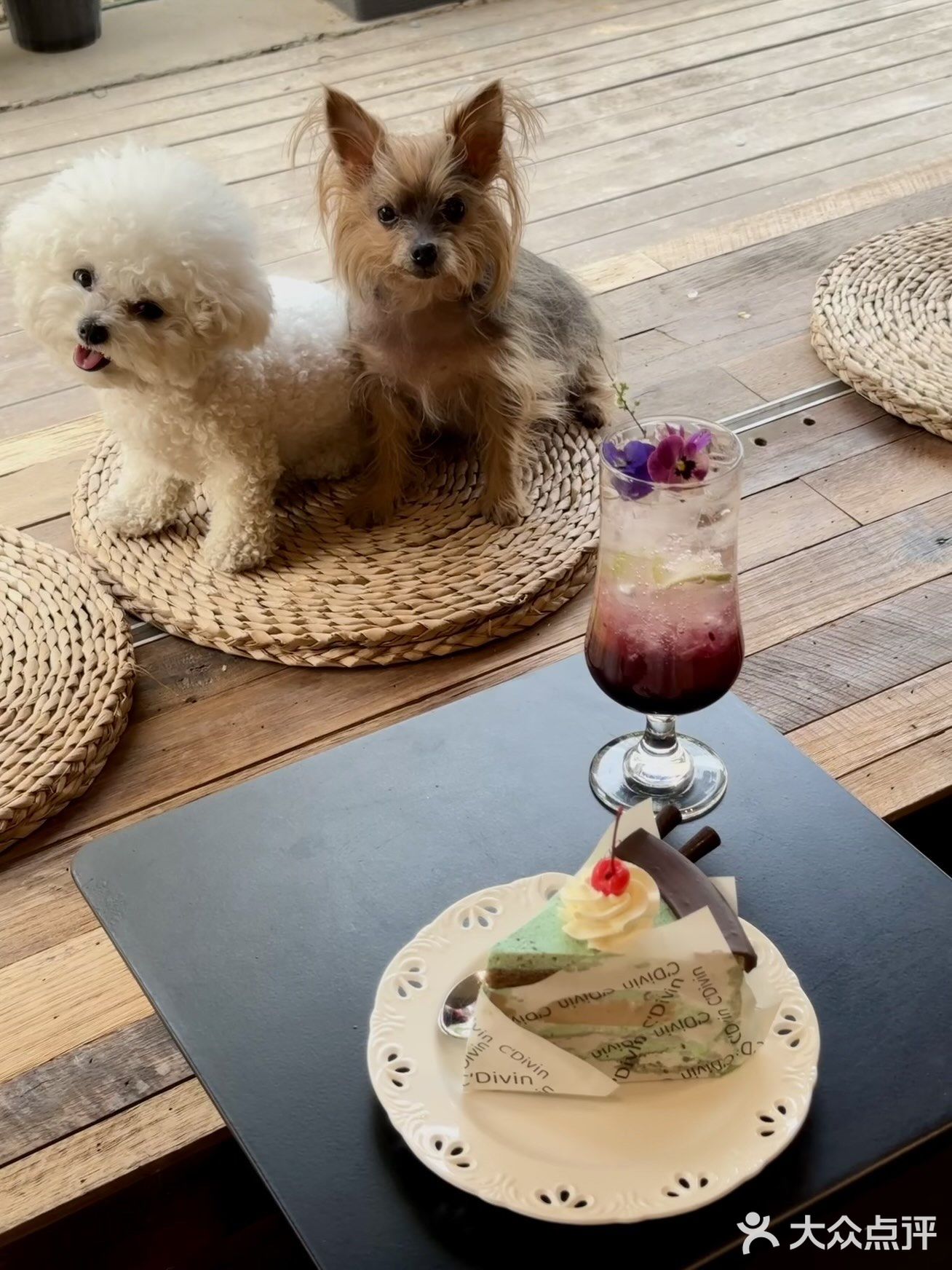 谁又幸福了！郑州居民区邂逅春日小甜店🥰