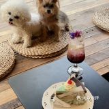 谁又幸福了！郑州居民区邂逅春日小甜店🥰