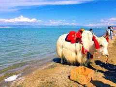 -青海湖国家重点风景名胜区