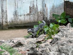 -深圳野生动物园