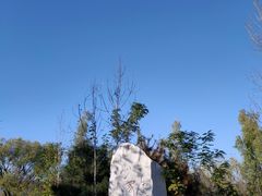 -野鸭湖国家湿地公园