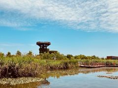 -芒洲湿地公园